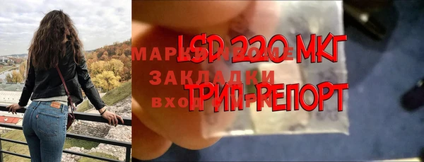 индика Алексеевка