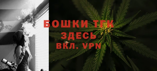 крисы Аркадак
