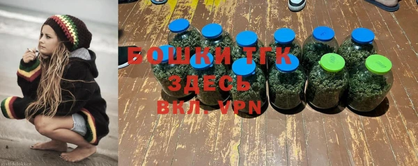 крисы Аркадак