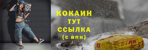 крисы Аркадак